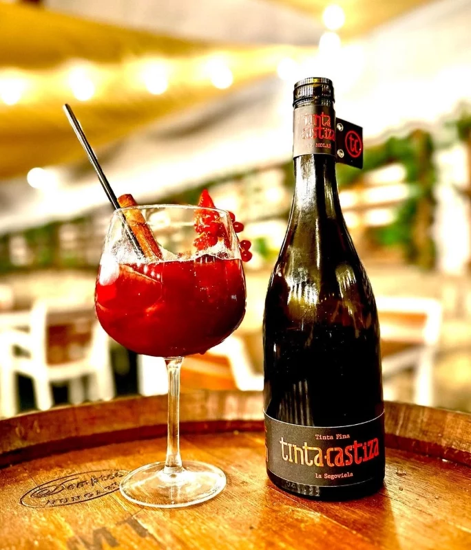 Cata-visita-vinas-madrid-el-molar-coctel-vino-tinto-Bodega-vinos-madrid-tinta-castiza